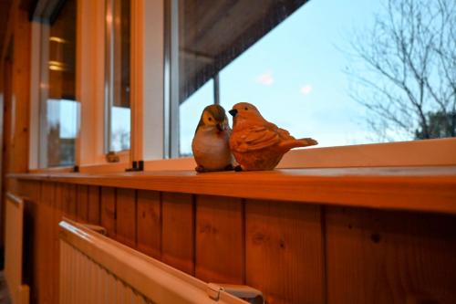 辛格维德利尔小屋/木屋（Thingvellir Cabin/Chalet）