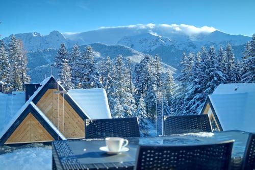 Osada Widokowa Kościelisko