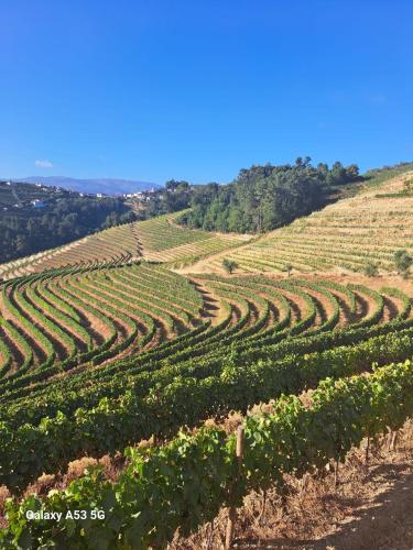 Quinta Da Portelada