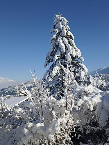 Gastehaus Alpenblick