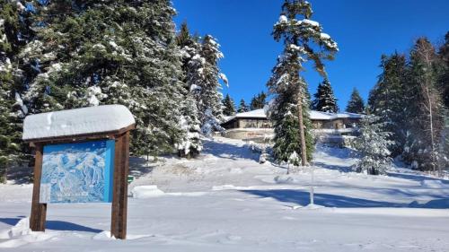 Hotel Bor