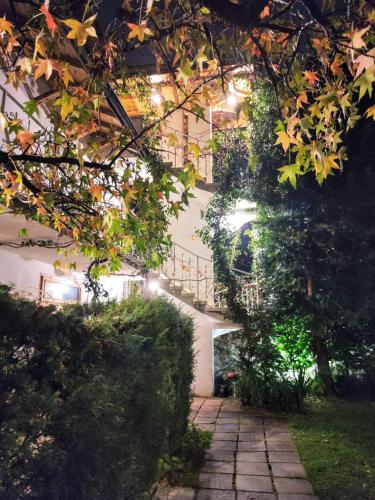 Park Hotel Amfora