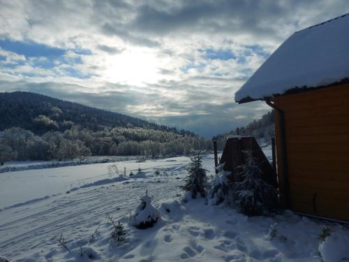 Domki Pod Bukowym Lasem