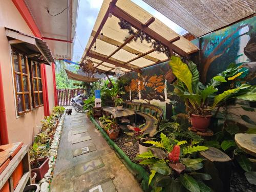 Ferranco Tourist Inn