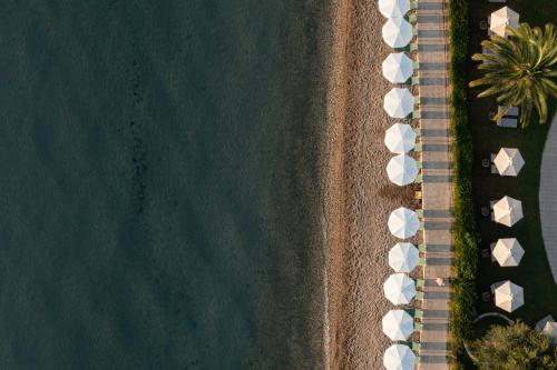 Elea Beach Hotel