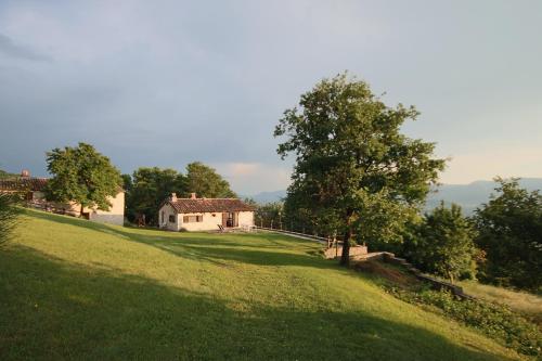Valdifiori