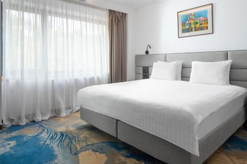 Alexandrion Experience