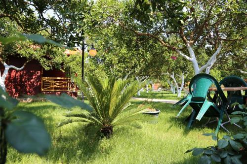 Mercan Bungalow & Apart