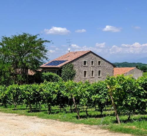 Tenuta San Leone