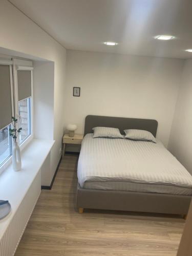 S&T&A&R apartamentai