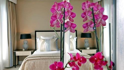 Warwick Paris