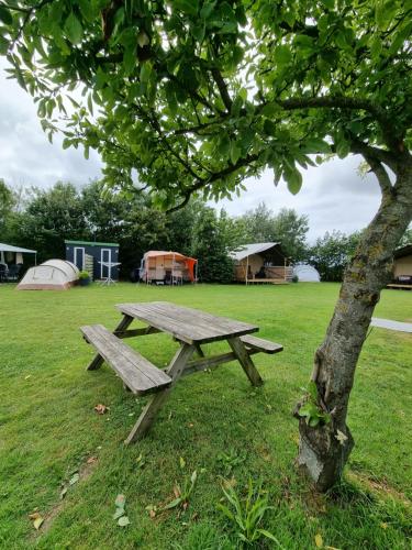 Camping De Tulpenweide