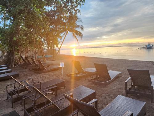 Aivy Maes Divers Paradise