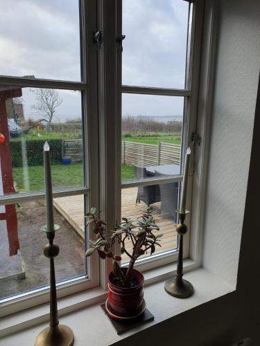 Vidunderligt hus på smukke Nyord