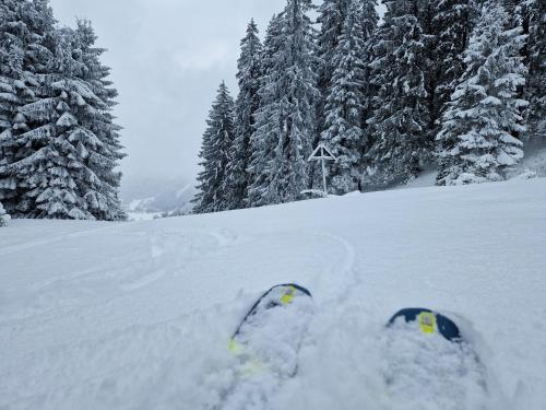 Gastehaus Neu Am Passionstheater