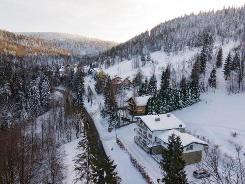 Dream Apart Willa Marko