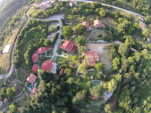 Tzivaeri