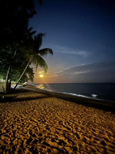 Aivy Maes Divers Paradise