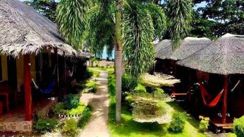 Aivy Maes Divers Paradise