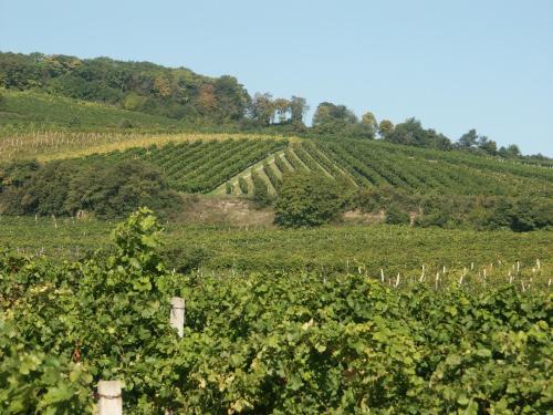 Oldtimer Autobahnrestaurant & Motorhotel Guntramsdorf