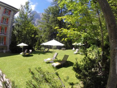 Les Sources des Alpes