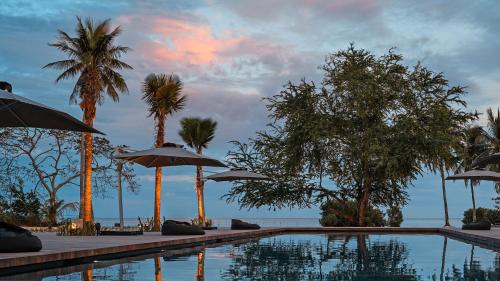 The Funny Lion Puerto Princesa