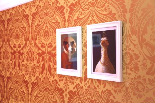 Rivoli Cinema Hostel