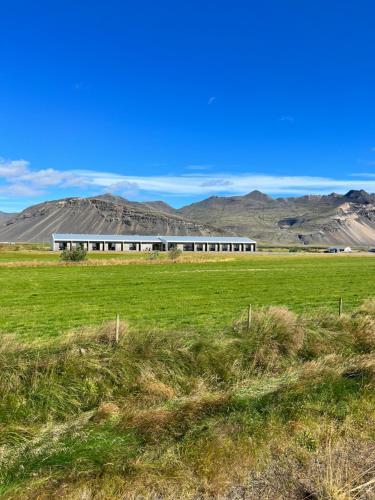 Seljavellir Guesthouse