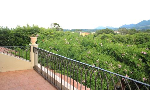 Quinta Das Hortencias