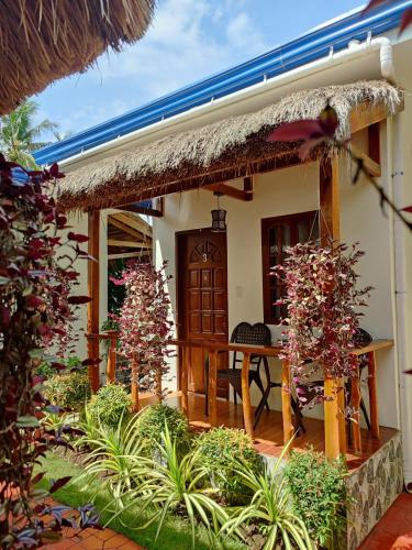 Glorias Panglao Inn 1