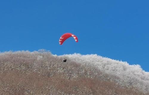 PRIMA Hotel Strandcafé