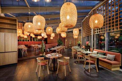 Palmiers by Fassbind