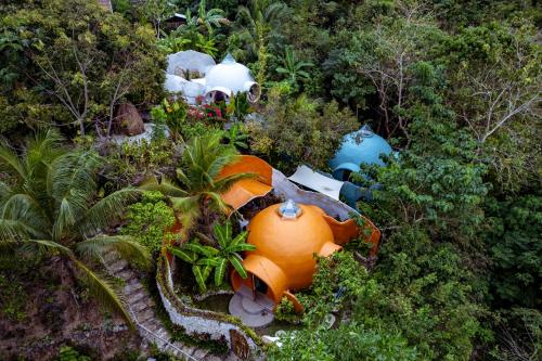 Jungle KingDomes Guest House