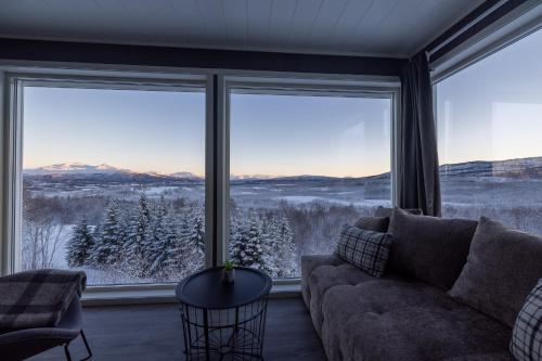 Aurora Borealis Observatory