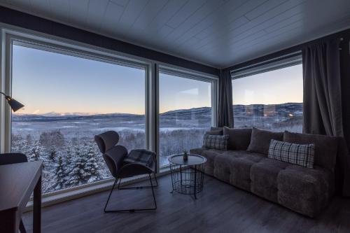 Aurora Borealis Observatory