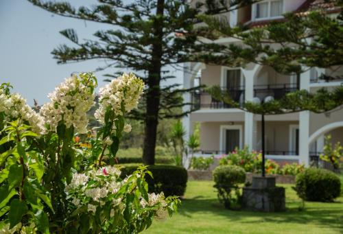 Sofia - Yiota Studios & Apartments