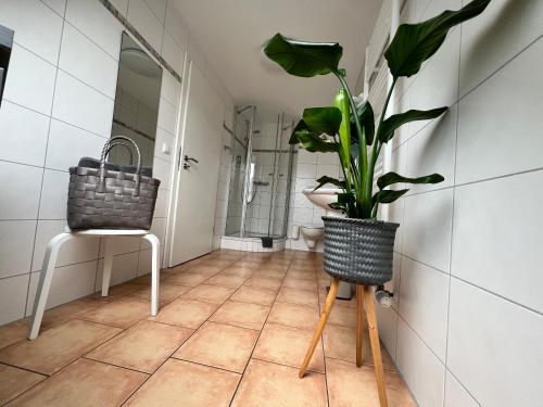 Altstadtpension am Dom