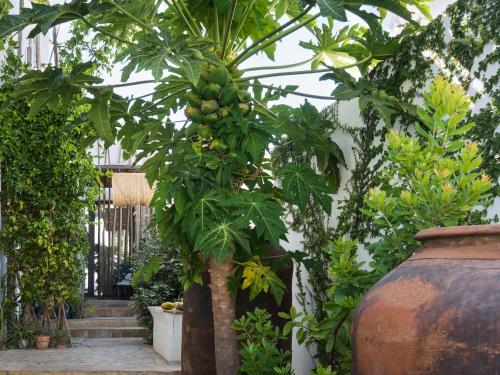 Altanure Almatere - Food Forest Boutique Stay