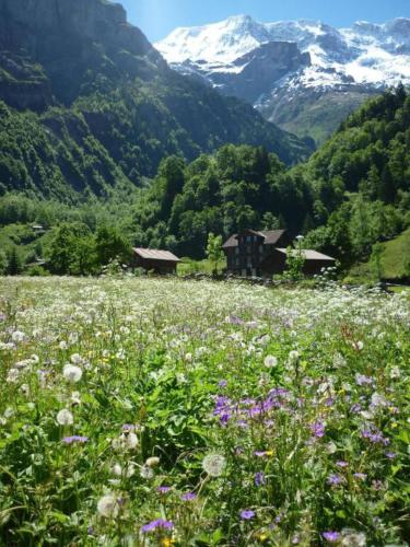 The Alpenhof