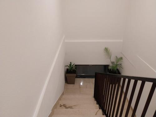 Apartments Rose Loboja