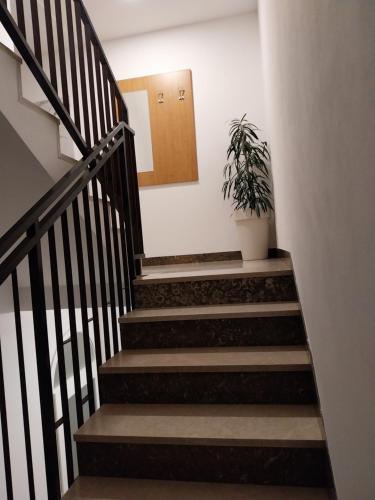 Apartments Rose Loboja