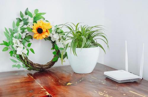 The Brookside Cottage Sta Magdalena Sorsogon