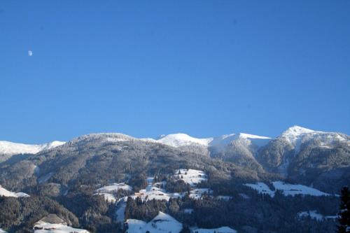 Edelweiss