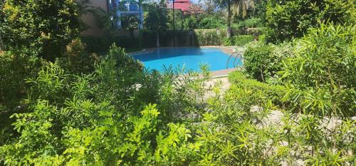 Summer10th Verdant Palawan