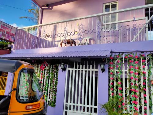 Purple Guesthouse