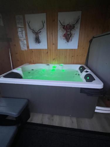 Ben Nevis Manor Lodge