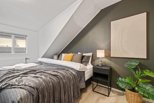 最佳地理位置朗格维格豪华阁楼（Best Possible Location-Laugavegur Luxury Loft）