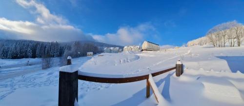 Apartamenty Biala Sowa Czarna Gora