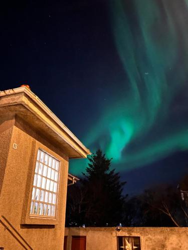 Casa Dísa - Apartments A Boutique Guesthouse in Reykjavik City`s Central Park and Botanical Garden in Laugardalur, Hot-Spring-Valley