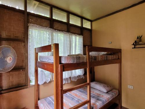 Lazy Lizard Hostel